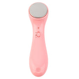 Ultrasonic Ion Face massager